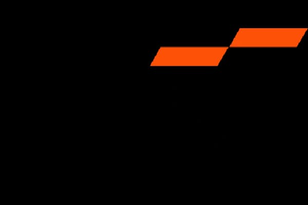 PriceWaterhouse Coopers (PWC) logo
