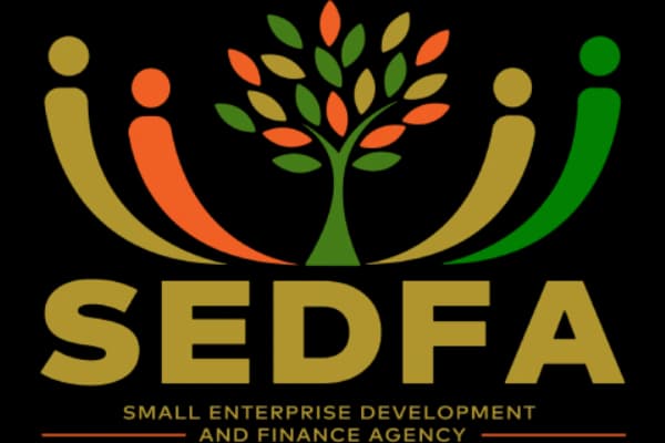 SEDFA (SEDA/SEFA) logo